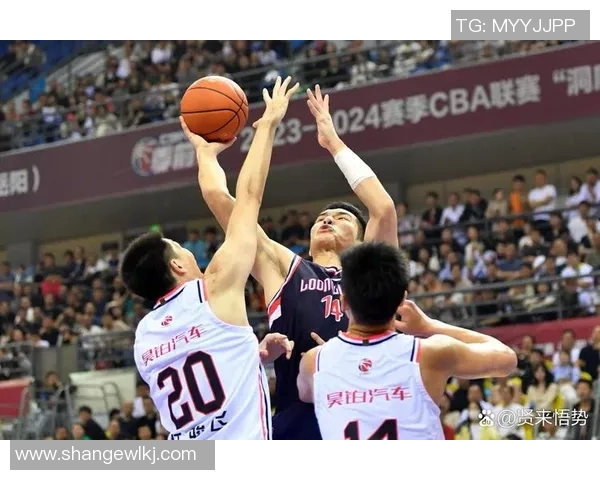 上海队与广东队激战正酣谁将成为本赛季的冠军之争焦点